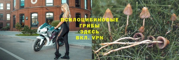 ALPHA PVP Богородск